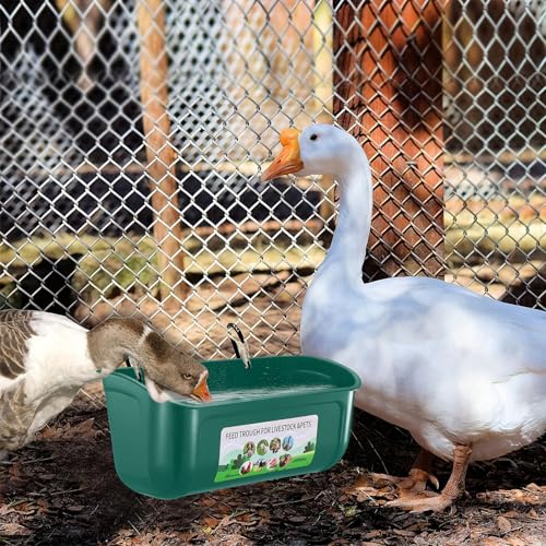 Chicken Feeder Waterer, 6 Pack Duck Feeder Supplies, Hanging Fence Feed Trough with Clips for Goat, Sheeple, Piglet, Gooses, Turkeys, Dog Livestock Poultry,Green - color: 6 pack Green