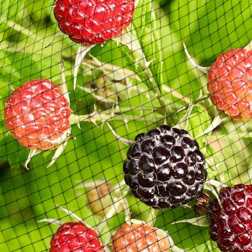 Garden Netting, 15ft x 50ft Black Bird Netting Heavy Duty,Rabbit,Squirrels,Anti Birds,Larger Bees,Deer,Chicken,Cardinals，Animal Fencing for Fruit Tree & Vegetable Garden - size: 15ft x 50ft