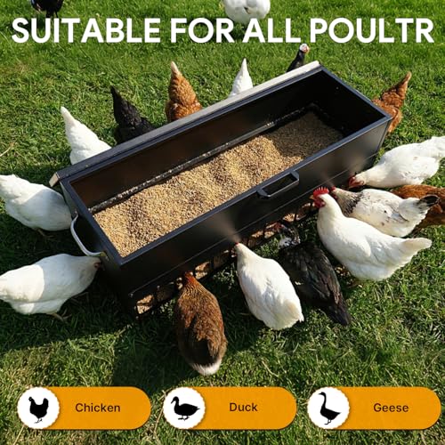 120LBS Automatic Metal Chicken Feeder,Heavy Duty Steel Chicken Feeder Box | Portable Chicken Feede Poultry Feeder with single-side casters and Weatherproof Lid for Ducks, Geese, Black
