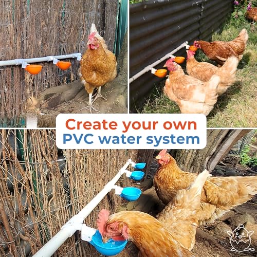 Lil'Clucker Large Automatic Chicken Waterer Cups and 1/2" PVC Tees - Chicken Water Feeder - Suitable for Chicks, Duck, Goose, Turkey and Bunny - Poultry Water Feeder Kit (Blue, 5-Pack) - size: 5-Pack