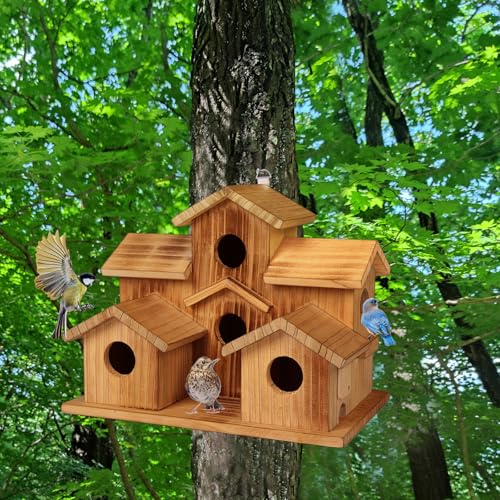 Bird Houses for Outside, 5 Hole Birdhouse Room for 5 Bird Families Bird House for Garden/Courtyard/Backyard Decor Finch Bluebird Cardinals Handmade Hummingbird House