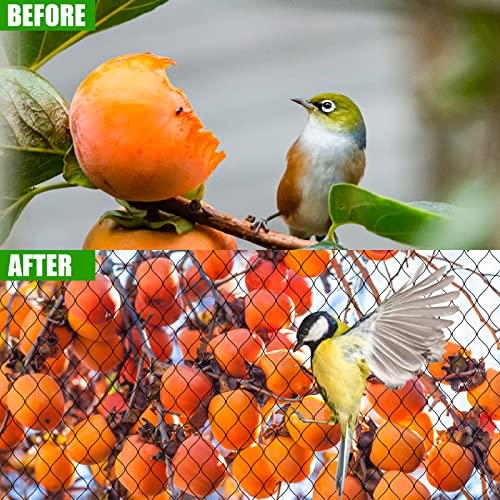 Bird Netting for Chicken Coop,50x50ft Poultry Netting with 2.4" Square Mesh | Heavy Duty Garden Net for Blueberry, Fruit Trees & Vegetable, Protects from Birds, Deer & Squirrels, for Chicken Run & Pen - size: 50'×50'-2.4''