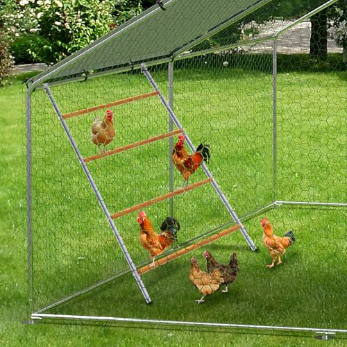 Chicken Perch for Coop, Chicken Roosting Bars for Backyard Poultry, Easy to Assemble & Clean, 55'' L x 39'' W