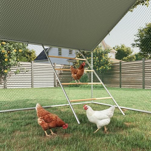 Chicken Perch for Coops Chicken Roosting Bars Poultry Roost Stand | Chicken Run Ladder Galvanized Iron Frame with 4-Tier Solid Wood 42''x 54.5'' for 10/12 Chickens Easy Assembly Outdoor Use - color: Silver, size: 55.0"L x 40.5"W x 1.0"H