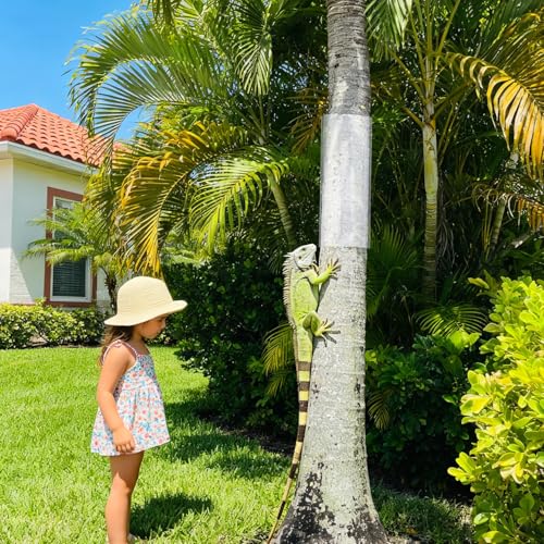 79" x 16" Squirrel Baffle for Tree Trunk Plastic Tree Trunk Protector | with 10 Cable Tie and Tape to Protect Damaged Bark, Easy Install Reusable