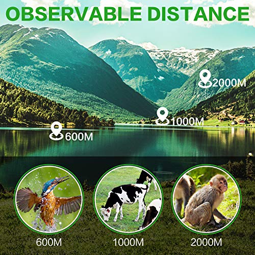 40X60 Monocular Telescope, High Power Monocular for Adults with Phone Adapter& Tripod& Hand Strap, Low Night Vision Monocular, Equipped with BAK4 Prism for Bird Watching and Traveling Concert - size: 40×60
