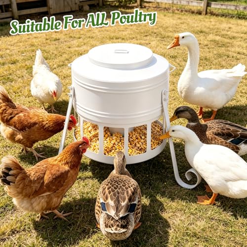 Metal Chicken Feeder, 20Lbs Large No Waste Chicken Feeder with 12 Ports, Heavy Duty Poultry Feeder with Lid & Handle, Rat Proof Rust Proof Feed Box for Chickens Ducks Geese Backyard Farm (White) - color: White