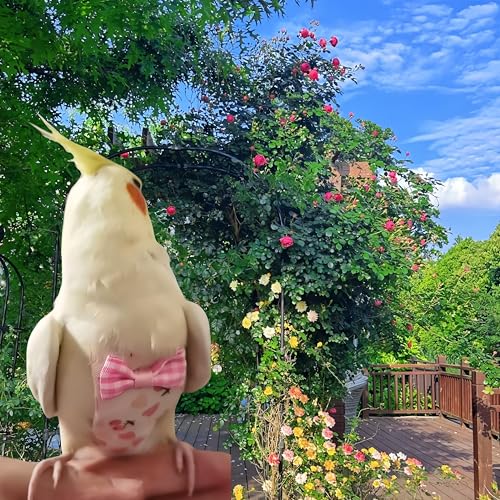 2 Pcs Bird Diapers Bird Harness Flight Suits Diapers with 80in Flying Leash Reusable Parrot Nappy with Waterproof Inner Layer for Cockatiel Budgie Conure Parakeet Lovebird-Blue&White