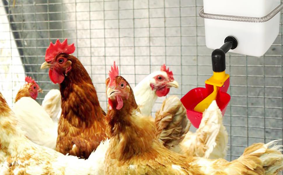 C Automatic Waterer System Chick Drinker Cups 1L Hanging Automatic Fill Poultry Watering Cup Used for Cages (red, 1)