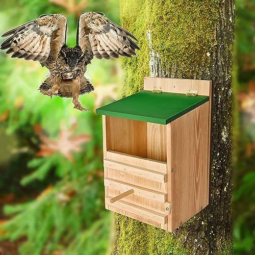 Owl House Owl Box with Bird Stand Design, Owl Nesting Box | Barn, Screech Houses Cedar with Shavings for Outside Wildlife Lovers,Cozy House for Lovely Birds - Easy Assembly Required - color: Wood color