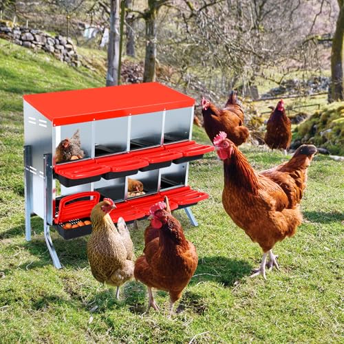 Chicken Nesting Box, 8 Compartment Roll Away Eggs Laying Boxes, Hen Nest Boxes with Legs, Cleanable Pull Out Hen Roosting Boxes - size: 8 Compartments with legs