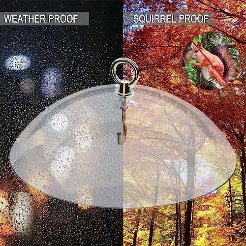 Bird Feeders Protective Dome Cover - Durable Acrylic Hanging Bird Feeder Cover - Large Diameter - with Hook - Weatherproof and Squirrel-Proof