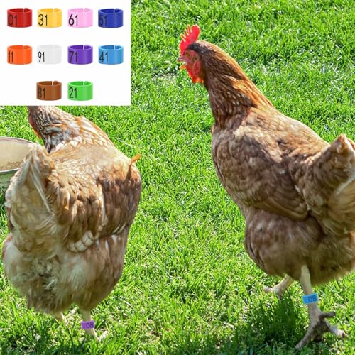 100 PCS Pigeon Leg Band Plastic Leg Band, Numbered Poultry Leg Band for Chicken Quail Dove Farm Identification(Brown) - color: Brown