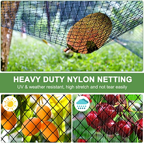 Bird Netting 50x100ft with 3/4" Square Mesh, Heavy Duty Nylon Garden Net | Poultry Netting for Chicken Coop, Aviary Netting, Deer Fence Fruit Tree Net Against Birds, Squirrels, Hawk - size: 3/4", 50' x 100'