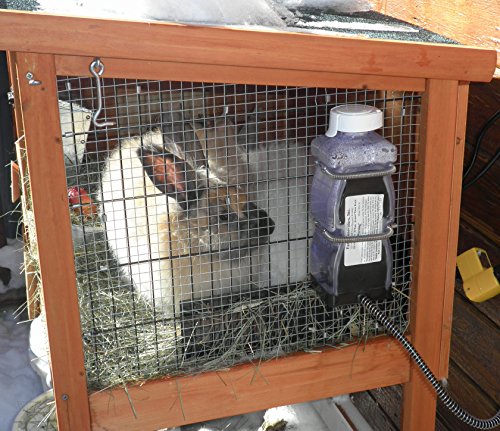 Farm Innovators Model HRB-20 Heated Water Bottle for Rabbits, 32-Ounce, 20-Watt, 4.2 x 4.2 x 11.5 inches, 1 Pound (Pack of 12) - size: 4.2 x 4.2 x 11.5 inches ; 1 pounds (Pack of 12)