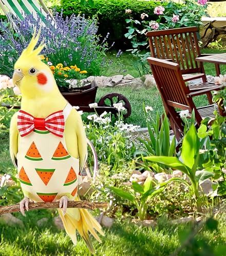 4Pcs Bird Diapers Bird Harness Flight Suits Diapers Reusable Parrot Nappy with Waterproof Inner Layer Washable Cute Urine Wet Suit Costume for Cockatiel Conure Budgie Parakeet-Fruit,L