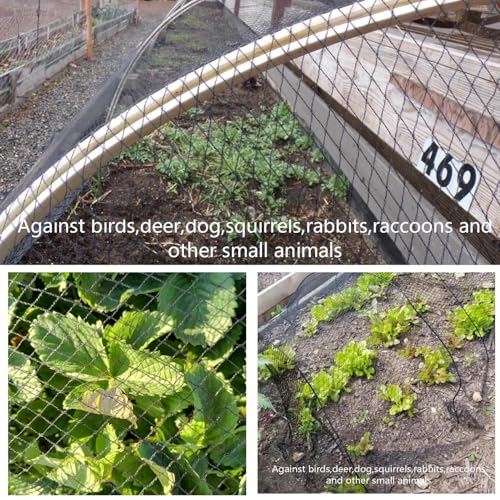 50x50 FT Heavy Duty Bird Netting for Chicken Coop & Garden | HDPE Poultry Netting Fence 1 Inch Diamond Mesh, Fruit Tree Vegetable Protection from Birds Deer Squirrels - size: 50x50 FT