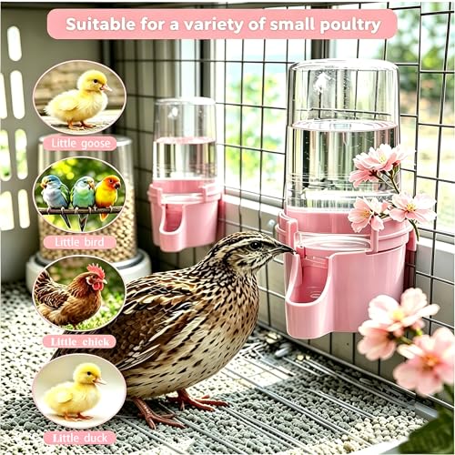Button Quail Waterer with 1.5cm Narrow Safety Tray, 2 Pack 16.6 oz Baby Quail Chick Waterer, Automatic Gravity Water Dispenser with Integrated Hooks for Wire Mesh Cages and DIY Brooders, (Pink)