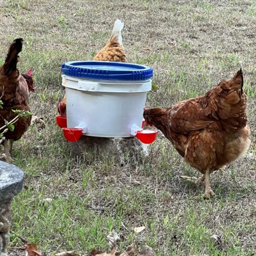 Chicken Waterer Cups, 12 Packs Poultry Water Feeder with Drill, Large Poultry Waterer Automatic Waterer for Chicken Coop, Duck, Chicks, Goose, Turkey, Bunny, Bird (Red, 12 Pack) - size: 12 Pack
