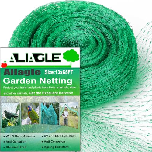 Garden Netting, 13 x 65 FT Bird Netting for Garden Plant Protection, Reusable Fine Mesh for Fruit Trees, Vegetable Plants, Blueberry Bushes, Raised Beds, Chicken Coop (13x65ft) - size: 13x65FT