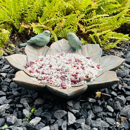 Bird Feeder and Outdoor Bird Bath Bowl, Antique Garden Resin Birdbath Bowl with Vintage Flower Design for Outside Yard or Table Decor - color: Bird Feeder