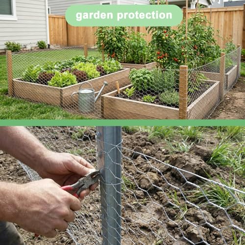 Galvanized Chicken Wire Mesh Roll 16.5" x 590", 0.8 Inch Hexagonal Poultry Netting Fence for Garden, Rabbits, Chicken Coop, Plant Protection & DIY Crafts - size: 16.5 inch x 49.2 Ft