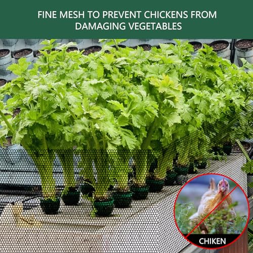15.7 in x 39.3 FT Black Chicken Wire mesh,Comes with 60 Twist Ties,Plastic Chicken Wire Fencing,Poultry Netting,Poultry Fence,Chicken Wire for Crafts,Plastic Garden Fencing,Floral Chicken Wire - size: 15.7IN*39.3FT