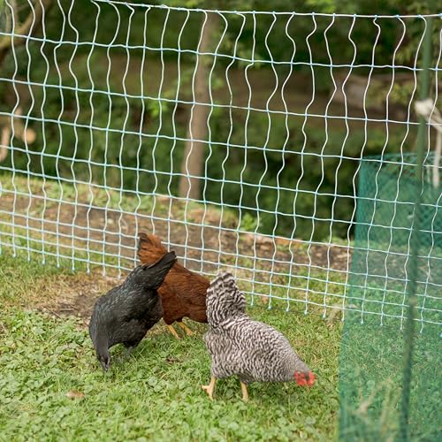 48” x 100’ Premium Plus+ Braided Electric Poultry Netting (12/48/3) Electric Chicken Fencing for Backyards, Homesteads, Farms, and Ranches
