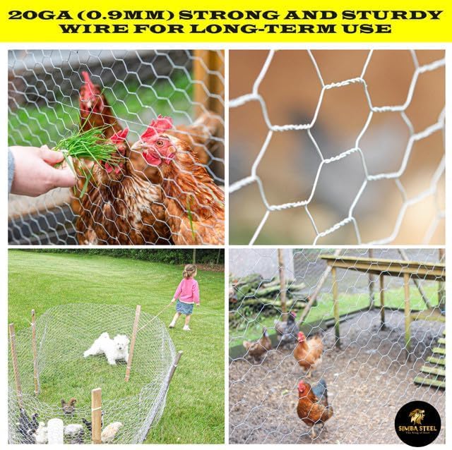 Chicken Wire 24 in x 200 FT x 2” Mesh x 20GA | Poultry Wire Netting | Hot Dipped Galvanized | Chicken Coop, Rabbit Cage, Fence Barrier (24 x 200 x 2) - style: 24 in x 200 FT x 2 in