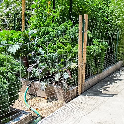Fencer Wire Rabbit Guard Fence, 16 Gauge Galvanized Welded Wire Fence for Preventing Rabbits, Dogs, Cats, Chickens, and Other Small Animals from Damaging The Garden (24 in. x 50 ft.) - size: 24 in. x 50 ft., style: Galvanized Welded