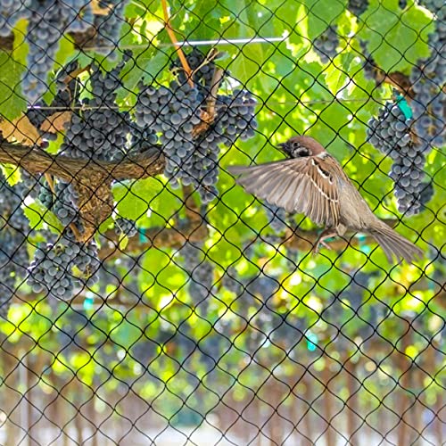 OGORI 25' x 25' Bird Netting Heavy Duty Nylon 3/4" Mesh Garden Netting Protect Fruit Trees, Plants and Vegetables - size: 25'×25'-3/4''