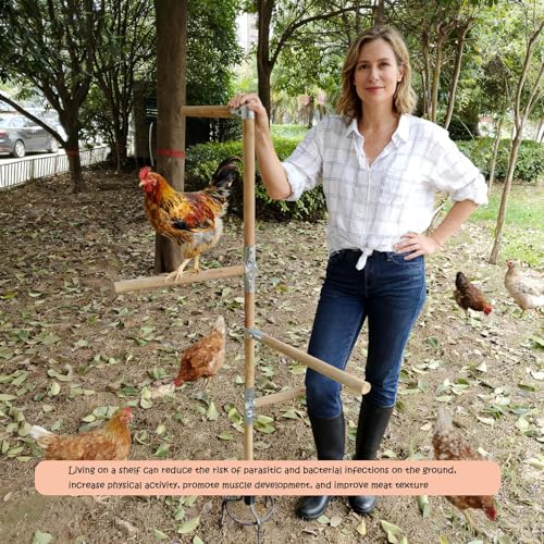 Chicken Perch Toys for Coop & Backyard Chickens, Large Chicken Perch Roosting Bars with 3-Prong Metal Ground Plug & Adjustable and Replaceable Wood Bar (Wooden, 54" H) - size: 1pc 54"H
