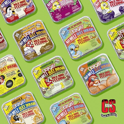 C&S Mealworm Delight No Melt Suet Dough, Suet Cakes for Wild Birds Including Robins, Blue Jays, Woodpeckers, Wrens, Bluebirds and More, 11.75 Ounces, Pack of 8 - size: 1.47 Ounce (Pack of 8), style: Mealworm, 8 Pack
