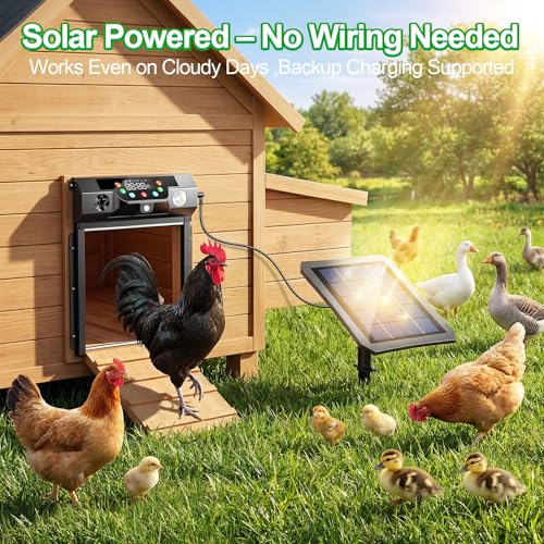 Automatic Chicken Coop Door Solar Powered, Roll-Up Chicken Door with Timer & Light Sensor, Anti-Pinch Safety Auto Chicken Door with Remote Control, Weatherproof Aluminum Coop Door (Black)
