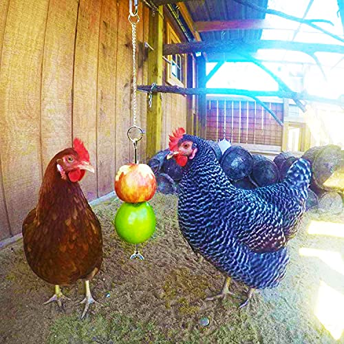 FANFX 7 Packs Chicken Toys Set, Chicken Xylophone Toys for Hens, Chicken Bridge Swing Toys, Chicken Mirror Toys,Chicken Pecking Toys and Vegetable Hanging Feeder for Chicken Coop
