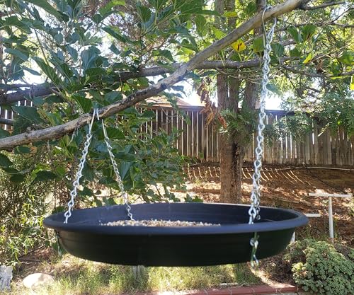 Bird Seed Catcher Tray and Platform Feeder with Adjustable Length Chains (12.5" Wide Black)