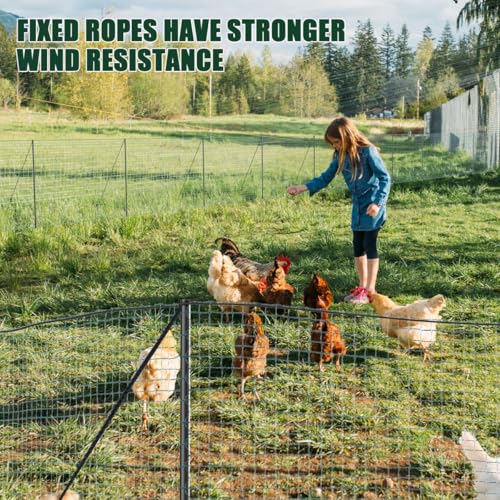 SUNYRISY 40in x 164ft Garden Mesh Fence Temporary Safety Fencing | Garden Fence Animal Barrier with Steel Stakes, Fencing Netting for Construction Backyard Chickens Dog Poultry Deer - size: 40in x 164ft