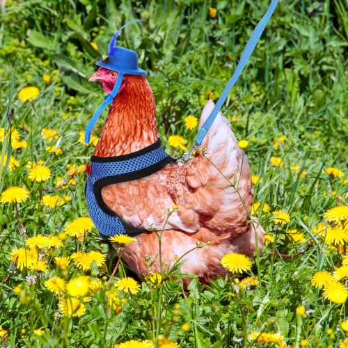 Zhanmai 9 Pcs Chicken Harness and Leash for Hens Funny Chicken Accessories with Leash and Hats for Hens Duck Goose Parrot Small Pet Harness Adjustable Training Walking Supplies (L) - size: L