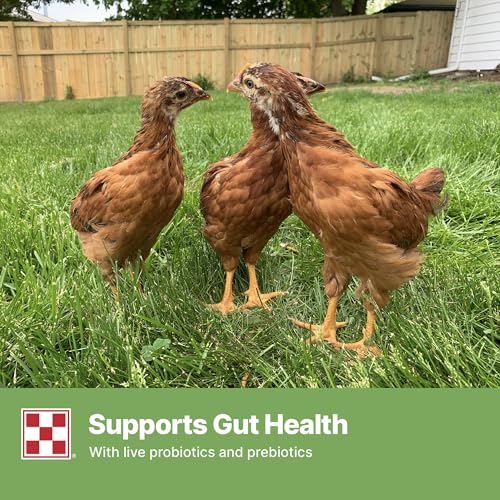 Purina® Farm to Flock™ 18% Grower Chick Food, 25 Pound Bag