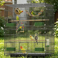 30-inch Folding Parrot Medium Bird Cage, Hanging Bird Cage for Parakeets Finches Canaries Lovebirds Cockatiels Budgies Small Quaker Conures Travel Pet Flight Birdcage with Swing and Perch