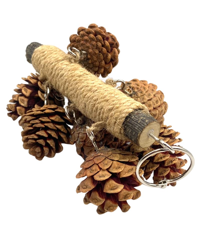 7.87Inch Natural Wooden Hangable Parrot Toy with 8Pcs Pine Cones and 8.46 Inch Wood Treat Holder with Stainless Steel Bowl for Cockatiel Budgie Small Birds