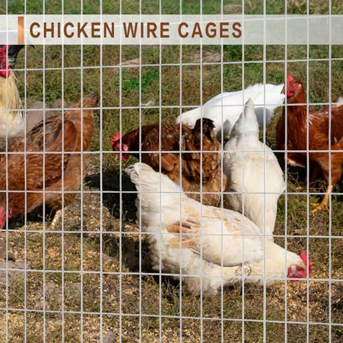 Tongmo 5 ft x 100 ft Galvanized Welded Chicken Wire Fence, 16GA Garden Chicken Wire Fence Roll, Mesh Size 2" x 4"Hardware Cloth, Ideal for Yard Protection and Poultry Netting - color: Galvanize, size: 5ft*100ft