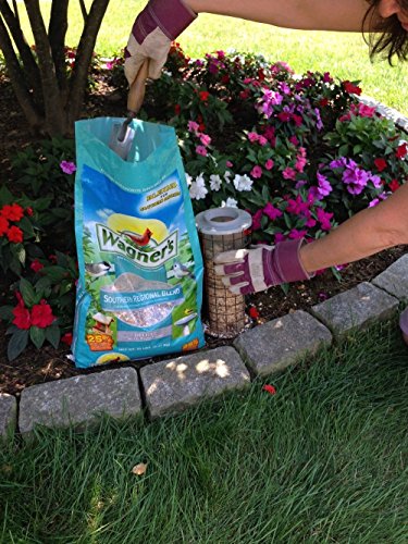 Wagner's 62017 Southern Regional Blend Wild Bird Food, 8-Pound Bag - size: 8 Pound (Pack of 1)