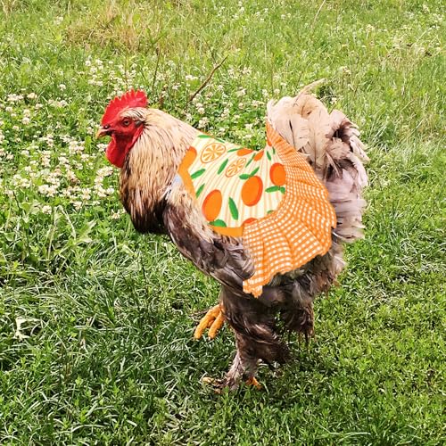 Whaline 8Pcs Chicken Saddles for Hens Summer Fruit Theme Chicken Apron with Elastic Straps for Poultry Protector Wing Back Feather Fixer Supplies