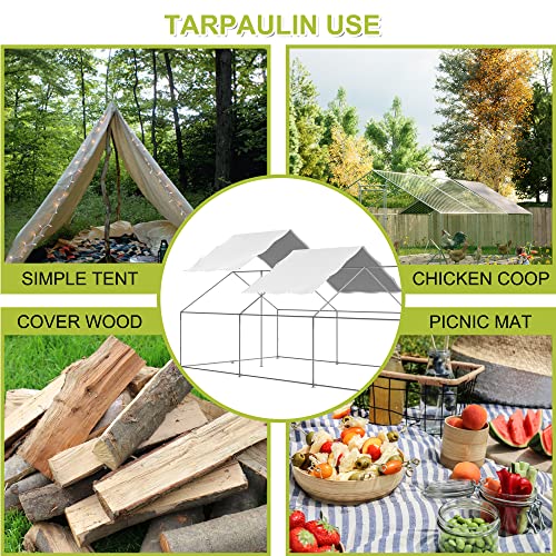 Outdoor Metal Chicken Coop Cover with 44 pcs Ball Bungee Cords, for Large Walk-in Chicken Run Pen, Waterproof, Fence Chicken Cages Cover, 11.38'Lx6.33'W (Only Cover, Frame Not Included) 2 Pack - size: 2 pack
