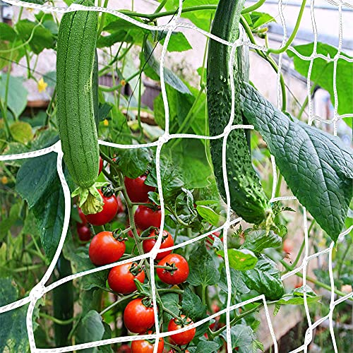 Trellis Netting, CANAGROW Heavy-Duty Garden Plant Trellis Netting for Climbing Plants, Outdoor Indoor Grow Net for Beans Tomatoes Peas Pumpkin Flowers, 6x15ft, Pack of 2 - size: 6'x15'