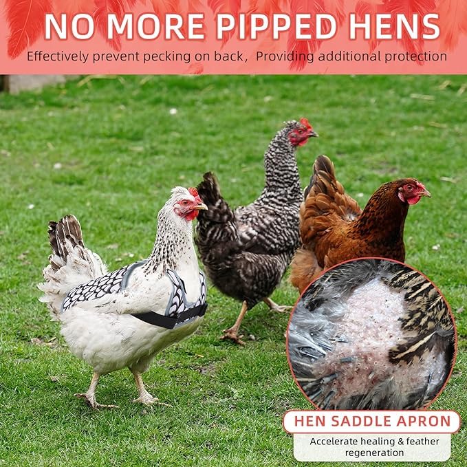 Chicken Saddles for hens, Chicken Hen Mating Saddle | Chicken Apron Back Protector for Hens With Adjustable Strap - color: White
