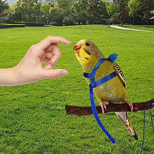 Dnoifne Parrot Harness and Leash, Adjustable Training Design Anti-Bite, Nylon Rope with Cute Wing for Parrots, Suitable for Alexandrine, Scarlet, Keck, Mini Macaw & Same Size Bird (Blue) - color: blue