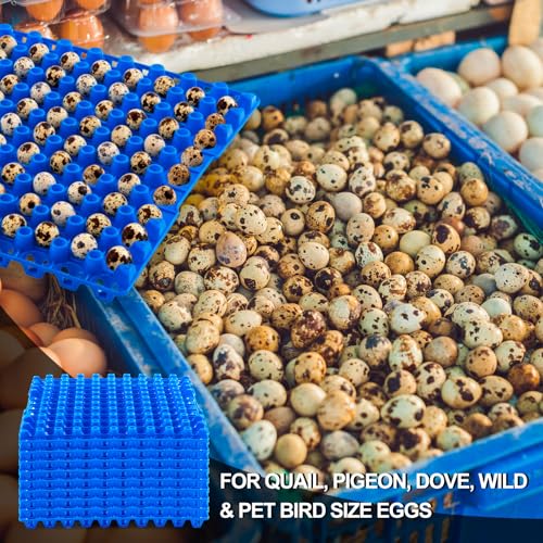 Teenyyou 10 Pcs 90 Egg Plastic Trays Quail Egg Flats Holder for Quail Pigeon Dove Bird Flat Carton (Blue) - color: Blue