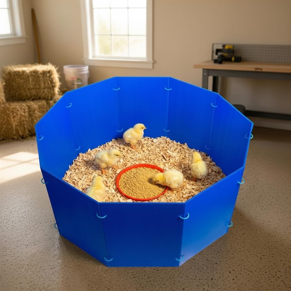 YAKCAM Chick Brooder Kit, Circular Corral for Up to 15 Chicks and Ducklings | Reusable Corrugated Panels, Snap-Ring Assembly | Heat Lamp Compatible | Feeding Tray Included | Indoor and Outdoor